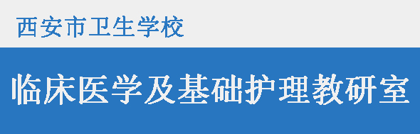 临床医学及基础护理教研室——教师风采